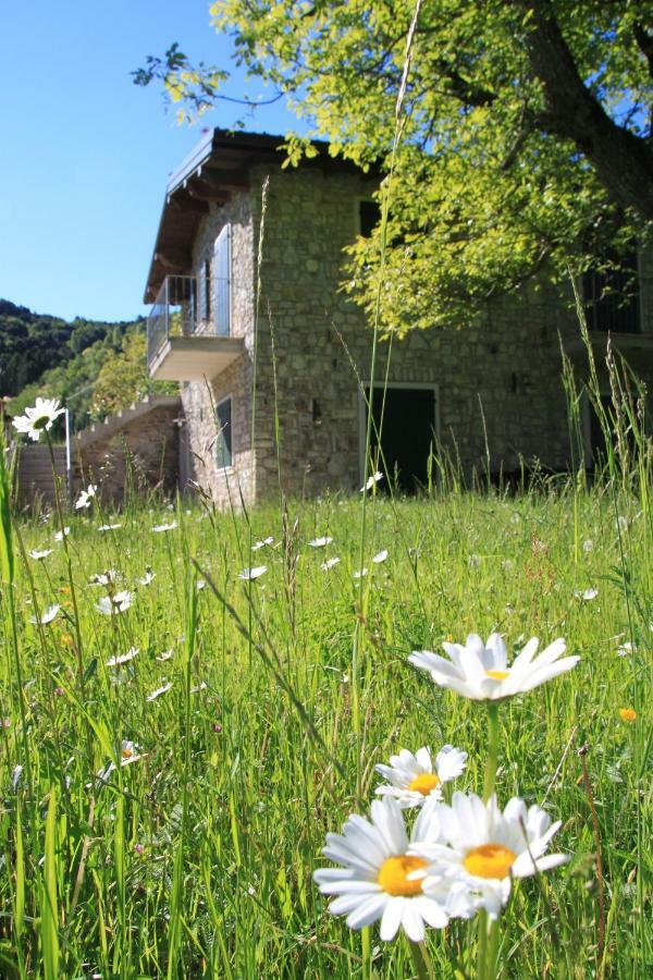 Ca Del Gari Villa Tremosine Buitenkant foto